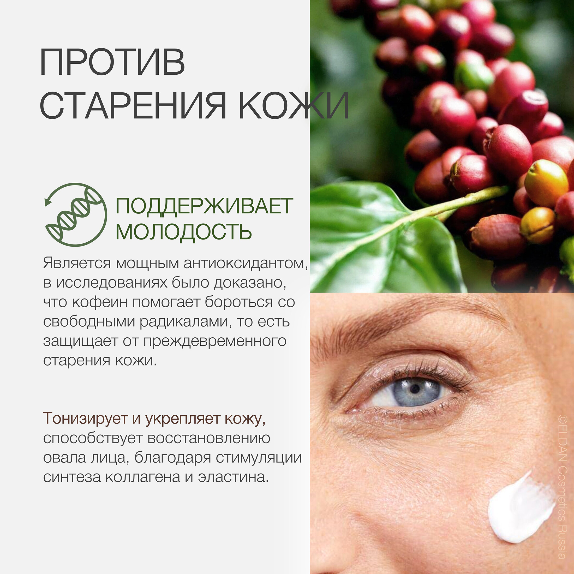 Пост кофеин ингредиент 3.jpg